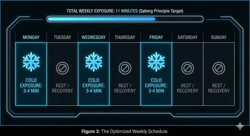 Visual Calendar of Weekly Protocol